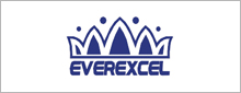 Everexcell.jpg